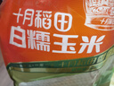 十月稻田 白糯玉米 4.16斤(260g*8根) 東北甜黏玉米棒 早餐苞米 曬單實(shí)拍圖