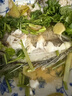 鮮到鮮得冷凍三去白蕉海鱸魚(yú)400g 生鮮 魚(yú)類(lèi) 海鮮水產(chǎn) 深海魚(yú)  曬單實(shí)拍圖