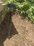 千居惠太陽(yáng)能戶(hù)外滅蚊燈防水抓蚊子捕神器庭院花園殺蟲(chóng)驅蚊室外驅蚊神器 曬單實(shí)拍圖