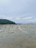 卓越優(yōu)趣兒童沙灘玩具鏟子套裝大號玩沙子桶和鏟子寶寶戲水挖沙子沙漏工具 沙灘玩具套裝【12件套】 曬單實拍圖