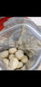 悅味紀(jì) 嵊州老面鮮肉小籠包800g 約30只 手工包子 早餐半成品 速食 曬單實(shí)拍圖
