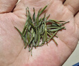 樂(lè )品樂(lè )茶特級明前雀舌2025新茶綠茶四川峨眉山茶葉250g 曬單實(shí)拍圖