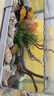 坤寧王魚缸增氧泵超靜音氧氣泵養(yǎng)魚打氧機家用小型充氧泵大氣量加氧3W 曬單實拍圖