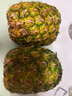 佳農 菲律賓進口菠蘿 2個裝 鳳梨 單果凈重2斤 新鮮水果 源頭直發(fā)   曬單實拍圖