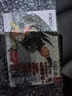 現貨【外圖臺版漫畫(huà)】BLEACH死神 愛(ài)藏版 9 首刷限定版 首刷附詩(shī)卡(2入) / 久保 帯人 東立 曬單實(shí)拍圖