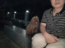 穎朗太陽(yáng)能柱頭燈庭院圍墻燈別墅大門柱子燈室外院子裝飾燈中式景觀燈 25cm鋁合金-純太陽(yáng)能款 東方美學(xué)設(shè)計(jì) 曬單實(shí)拍圖