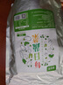 鮮窩窩 脫水蔬菜干15g*20袋 0脂即食方便速食裙帶菜萬(wàn)年青胡蘿卜高麗菜 曬單實(shí)拍圖