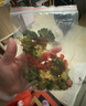虹魅食品烘干機(jī)家用小型干果機(jī)水果蔬菜肉干肉類藥材食物寵物零食凍干機(jī)風(fēng)干機(jī)智能觸控電烤箱 AI智能觸控+一鍵設(shè)置【白色可視】 5層 曬單實拍圖