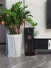 惠威（HiVi）D300有源HIFI音響多媒體無(wú)線藍(lán)牙5.0書架箱電腦電視家用桌面音箱等磁場(chǎng)帶式高音喇叭 曬單實(shí)拍圖