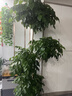 德沃多肥料蘭花營(yíng)養土專(zhuān)用15L園藝盆栽種植土養花土壤蝴蝶蘭春蘭蕙蘭墨蘭土 曬單實(shí)拍圖
