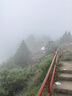 曼牌（MANNFILTER）空氣濾清器空氣濾芯C27009/C27096速騰寶來凌渡朗逸帕薩特途安高7 曬單實拍圖