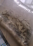 活體飼餌魚(yú)麥穗魚(yú)小魚(yú)苗喂龍魚(yú)羅漢鱷龜六角開(kāi)口飼料魚(yú)淡水魚(yú)雜魚(yú) 飼料魚(yú)2-4厘米200條+15%防損 曬單實(shí)拍圖