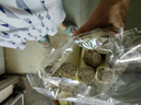 黃金陳年艾條醫用純艾草艾絨熏香熱敷家用養生母嬰驅蚊通用艾灸棒 精制艾條50支 約1.8*20cm 曬單實(shí)拍圖