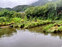 目丸美式復古西部張馨予牛仔帽子女夏季戶(hù)外登山大檐遮陽(yáng)帽防曬漁夫帽 棕色 1# 曬單實(shí)拍圖