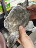 舟山梭子蟹鮮活特大野生大螃蟹新鮮冷凍海鮮水產(chǎn)海蟹飛蟹白蟹順豐 9兩以上/只【5斤凈重 超大肥美】 曬單實(shí)拍圖
