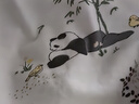 貓人【提臀顯瘦】女士打底褲女加厚保暖高腰連褲襪配裙子外穿秋冬灰色 曬單實(shí)拍圖