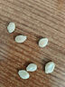 北蔬 貝貝南瓜種子種苗板栗味陽(yáng)臺盆栽種菜蔬菜種籽 貝貝南瓜種子10粒 曬單實(shí)拍圖