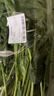 大菠菜300g 曬單實(shí)拍圖