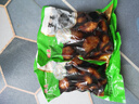醬洋姜爽口鬼子姜咸菜下飯菜即食小菜新鮮腌制醬菜榨菜洋姜咸菜 醬洋姜500克*2袋 曬單實拍圖