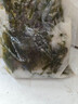 鮮海帶 鹽漬海帶絲 海帶涼拌菜鮮嫩 鹽漬海帶絲150g 曬單實拍圖