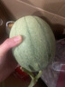 鮮友季正宗山東哈密瓜曉蜜17新鮮西州蜜瓜網(wǎng)紋瓜現摘當季水果甜瓜整箱 2.5-3斤 曬單實(shí)拍圖