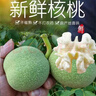 安踏兒童運(yùn)動(dòng)鞋男童透氣鞋子夏季男小童透網(wǎng)元?dú)馀苄珹12439967I 曬單實(shí)拍圖