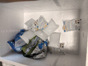 西鮮匯甘肅灘羊 原切羊排凈重5斤 羊肉生鮮羊肋排燒烤火鍋食材 源頭直發(fā) 曬單實(shí)拍圖