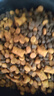 朗親 狗糧40斤裝肉粒雙拼拉布拉多邊牧德牧成犬專(zhuān)用通用型狗干糧20kg 曬單實(shí)拍圖