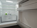 美的（Midea）三門249家用電冰箱小型三開門風冷無霜變頻一級能效多門宿舍租房以舊換新MR-249WTPE【國家補貼】 曬單實拍圖