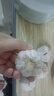 紫白皮蒜即食水果大蒜今年新鮮干蒜生鮮調料蒜瓣 5頭大蒜 0.36斤 曬單實(shí)拍圖