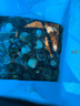 臻佑（Grsaed）打水桶釣魚13L加厚折疊水桶戶外野釣路亞活魚桶便攜釣魚桶方 藍(lán)紋 曬單實(shí)拍圖