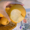 田拾記鑒賞級·萊陽秋月梨【閃送-多地次日達】豐水梨子果禮盒中秋送禮 凈4.5-5斤實惠裝丨很劃算 5S級丨單果0.5斤+丨甜 曬單實拍圖