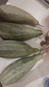 谷真羊角蜜甜瓜 5斤現(xiàn)摘脆瓜新鮮應(yīng)季香瓜超甜整箱批發(fā)價(jià)現(xiàn)摘現(xiàn)發(fā) 精選羊角蜜 3斤 曬單實(shí)拍圖