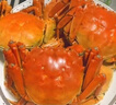 【活蟹】澄湖掌柜大閘蟹 鮮活螃蟹蘇州精品大閘蟹 水產(chǎn)生鮮禮盒 精品全母蟹3.0-3.3兩 5對10只 蘇州精品大閘蟹 曬單實(shí)拍圖