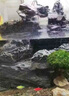 魚(yú)缸長(cháng)效凈水片凈水劑除臭去腥大蘇打自來(lái)水養魚(yú)水困水硝化細菌 魚(yú)缸不換水【1瓶/100片】一片清 曬單實(shí)拍圖