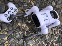 RWTW男孩玩具2025ai智能機器狗遙控機械人工電子電動(dòng)送男孩生日禮物 AI智能聲控機器狗+精美禮盒 【APP操控+語(yǔ)音聲控+智能編程+唱 曬單實(shí)拍圖
