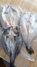 鮮京采三去海鱸魚(yú)3斤/3條 生鮮魚(yú)類(lèi) 白蕉鱸魚(yú)地標 無(wú)冰凈重3斤 源頭直發(fā) 曬單實(shí)拍圖