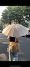 愛(ài)上雨24骨雨傘長(cháng)柄男女士家用大號自動(dòng)加固結實(shí)抗風(fēng)暴雨專(zhuān)用定制直桿傘 全纖維中棒-加大-24骨梧桐米 曬單實(shí)拍圖