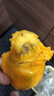 壹萌果蔬凱特芒芒果 當季現摘四川大芒果新鮮水果青芒果整箱送禮 5斤精品果【單果300g+】 凈4.5斤 曬單實(shí)拍圖