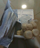 秋小鮮山東藜麥山藥綠豆包子1.2kg 10只 早餐半成品饅頭 源頭直發(fā) 包郵  曬單實(shí)拍圖