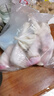 多肉生羊蹄原切農家羔羊山羊蹄特價(jià)帶筋羊蹄肉批發(fā)生羊蹄 白羊蹄2斤 曬單實(shí)拍圖