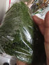 仿真苔蘚絲草坪仿生青苔景觀綠植小草盆景造景鋪面假苔蘚裝飾假草 絲狀苔蘚軍綠色100克 曬單實(shí)拍圖