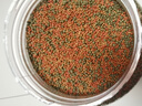 德瑞水族 魚飼料錦鯉飼料育成色揚增體魚食金魚飼料血鸚鵡魚魚糧小粒1.5kg 曬單實拍圖