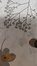 安睡寶（SOMERELLE）100%純棉床單單件全棉被單230x250cm 宿舍家用雙人1.5-1.8米床 曬單實拍圖