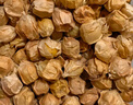 東北姑娘果新鮮當季水果黃菇娘燈籠果酸甜可口甜菇娘特產(chǎn)京東包郵 【帶箱3斤】東北姑娘果 曬單實(shí)拍圖