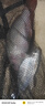 龍王恨魚餌新品果色天香百果香型開口料野釣鯽鯉鳊魚通殺餌料  260g 曬單實拍圖