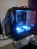 AMD 銳龍R5 5600板U套裝/5600gt板u套裝 搭配B550/A520M-K 主板 cpu主板套裝 華碩板U套裝 華碩 PRIME A520M-K 銳龍R5-5600 GT 盒裝 曬單實(shí)拍圖