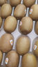 佳沛（zespri）新西蘭  陽光金奇異果10粒禮盒巨大果單果約144-175g 水果 獼猴桃 曬單實(shí)拍圖