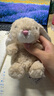 Jellycat米色甜美小兔小短腿公仔動(dòng)物毛絨玩偶娃娃生日新婚禮物 甜美小兔 One Size 曬單實(shí)拍圖