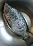 翔泰海南三去羅非魚/海南鯛1400g/共4條免處理 生鮮魚類 海鮮水產(chǎn)  曬單實拍圖